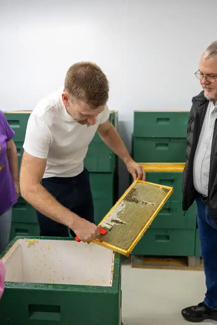 A man scrapes honeycomb from a frame while another man watches. They are standing next to green beehive boxes indoors.