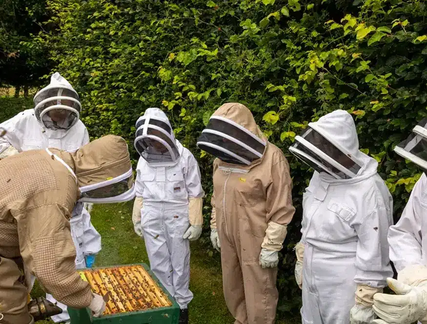 A group of people in protective beekeeping suits stand around an open beehive, observing closely, with a tall green hedge in the background.