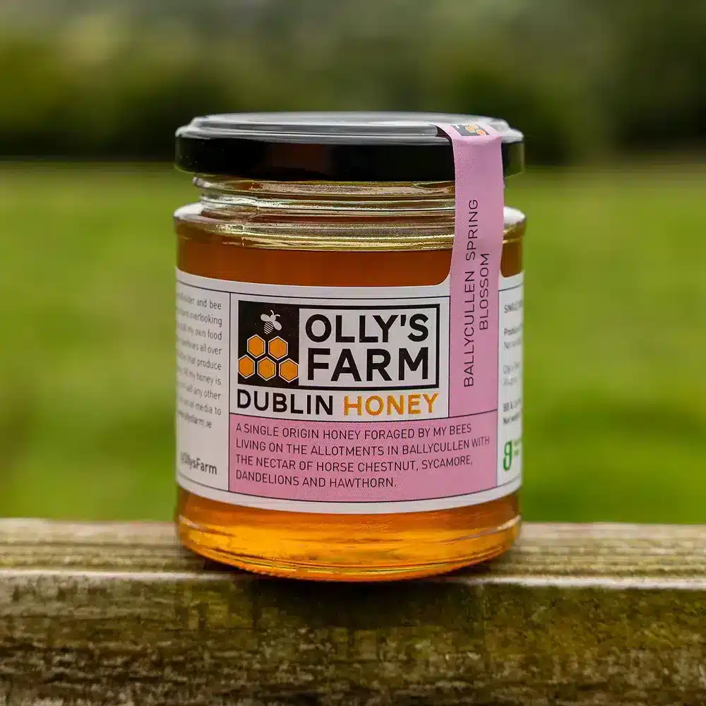 A glass jar of Ballycullen Spring Blossom Honey rests on a wooden surface outdoors, set against green countryside. The label highlights its origin and floral sources such as sycamore, dandelion, and hawthorn.