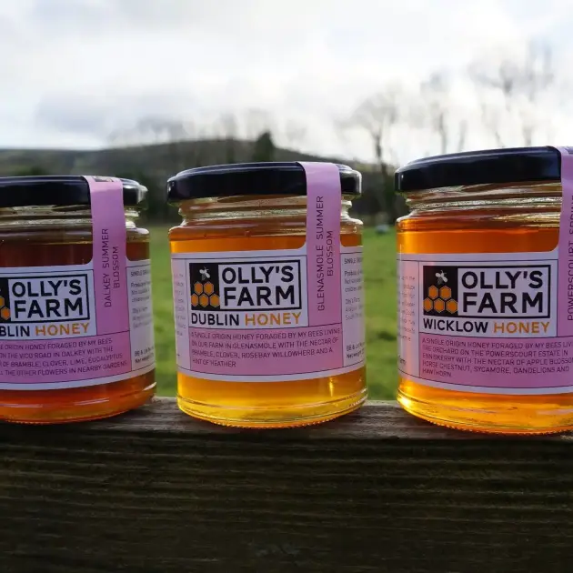 Three jars of Olly’s Farm honey—Dublin Honey, Summer Blend Honey, and Wicklow Honey—sit on a wooden fence outdoors, with green fields and trees in the blurred background.