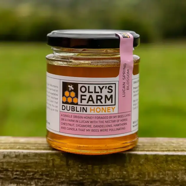 A jar of Lucan Spring Blossom Honey with a black lid and pink label sits on a wooden surface outdoors, set against a blurred green grassy background.