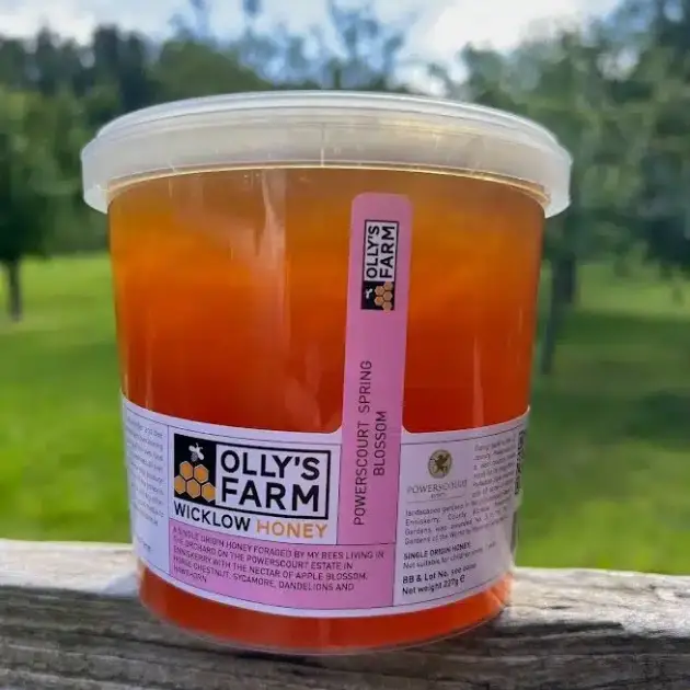 A 1.5kg Blossom Honey Bucket sits on a wooden fence, with green grass and blurred trees in the background.