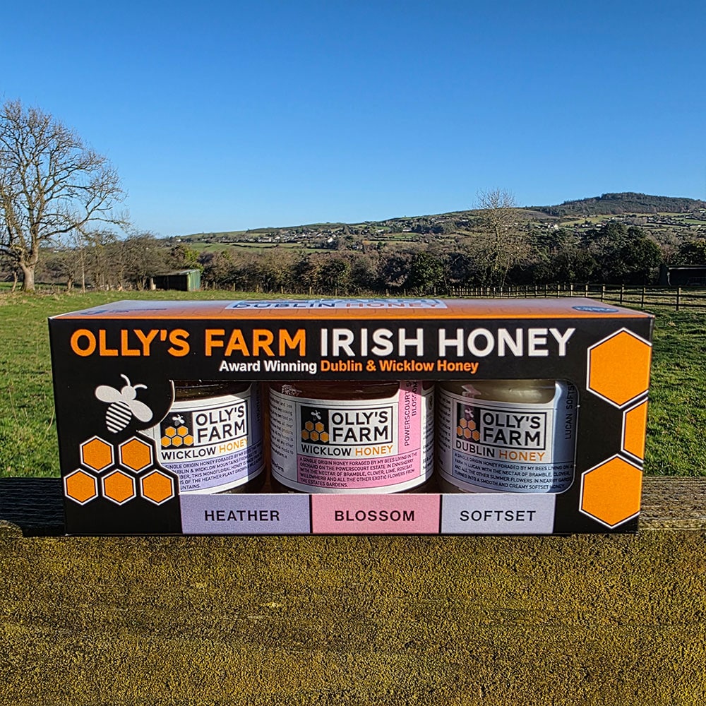A Heather, Softset and Blossom Trio sits on a stone ledge outdoors near Dublin, with fields, trees, and hills behind it under a clear blue sky.