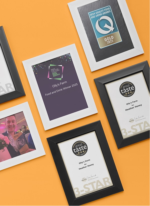 A display of award certificates and plaques in white and black frames arranged on an orange background, featuring Olly’s Farm and Heather Honey as recipients of various food and drink honors.
