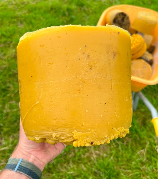 A hand holds a large, solid block of yellow beeswax outdoors, with more beeswax pieces in a yellow wheelbarrow on green grass in the background.