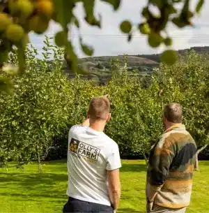 Two men stand in an orchard, facing away and looking toward a distant hillside. One wears a "Olly's Farm" t-shirt, while the other wears a striped sweater. Apples hang from a tree branch in the foreground.