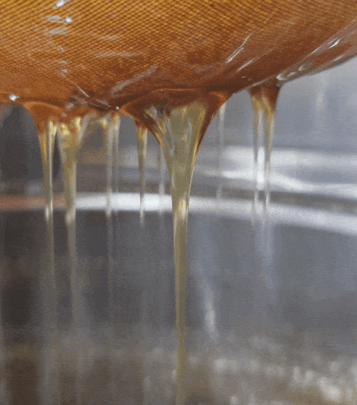 Golden honey drips slowly from a honeycomb through a cloth or mesh, with streams of honey falling into a container below. The close-up image highlights the smooth, thick texture of the honey as it flows down.