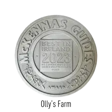 A silver medallion with the text “McKennas Guides Award” around the edge and “Best in Ireland 2023, recommended by John & Sally McKenna’s Guide” in the center.