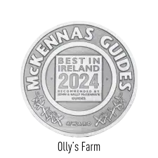 A silver circular medal reads “McKennas Guides Award” around the edge. In the center, it says “Best in Ireland 2024, recommended by John & Sally McKenna’s Guides.”.